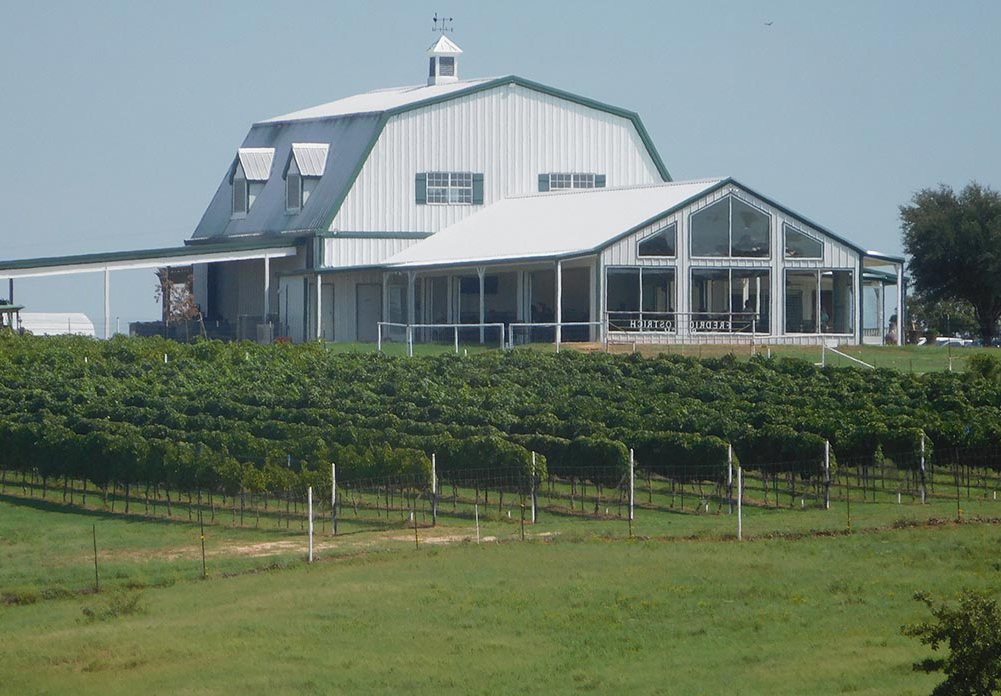 Blue Ostrich Winery & Vineyard